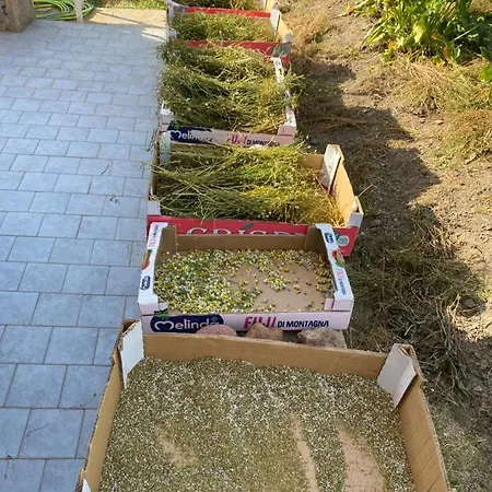 Hébergement de vacances La Casetta Dei Sogni *