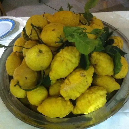 Hébergement de vacances La Casetta Dei Sogni Procida