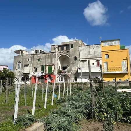 La Casetta Dei Sogni * Procida