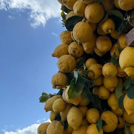 La Casetta Dei Sogni Procida