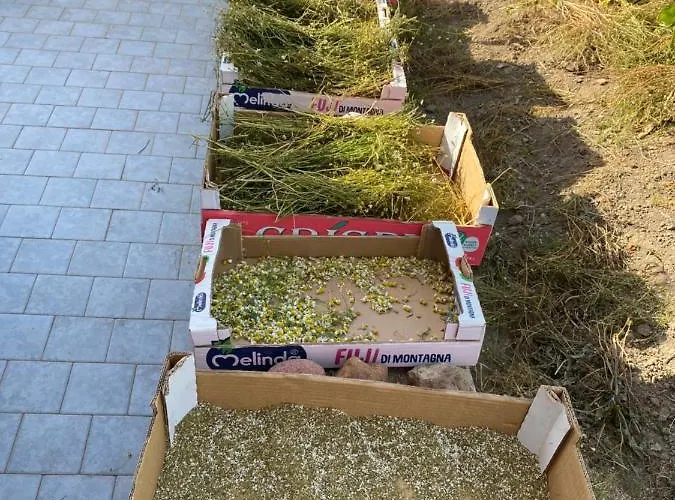 Feriehus La Casetta Dei Sogni *