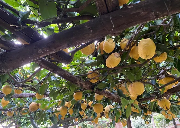 Feriehus La Casetta Dei Sogni Procida
